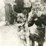 Saïd Mohammedi