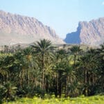 La ville de Béchar en Algérie