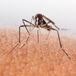 Algérie : Les nouveaux E-religieux