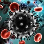 Yasmina Khadra, le vilain petit canard ?