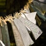 Femme à vendre ! (2ème partie)