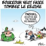 Algérie : Fort rebond du prix du pétrole