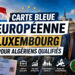 Déclarer un bien immobilier en Algérie au fisc néerlandais